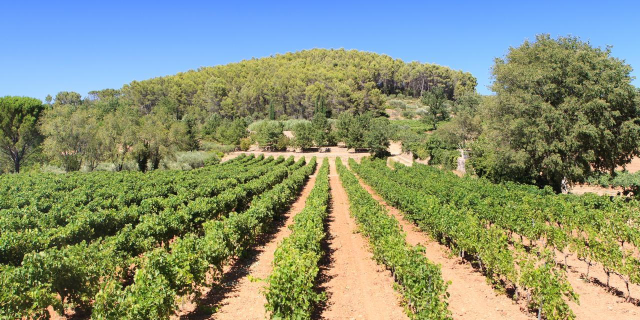 Domaine Du Clos D'Alari-Chambres D'Hotes Au Milieu Des Vignes Saint-Antonin-du-Var Exterior photo